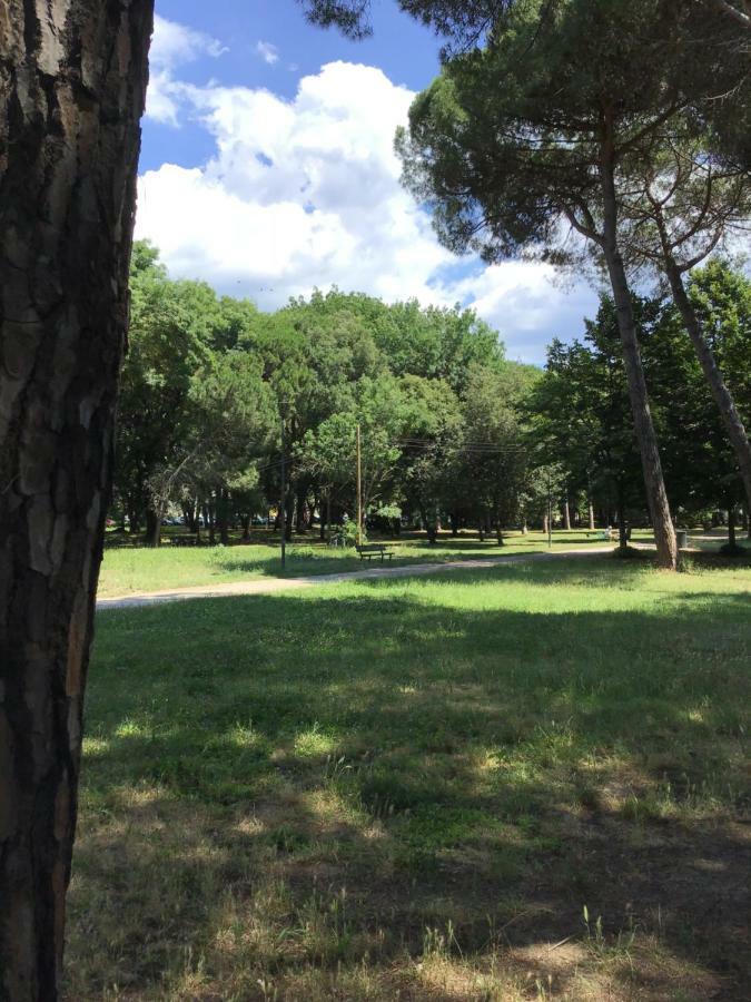Casalella Villa Viareggio Eksteriør bilde